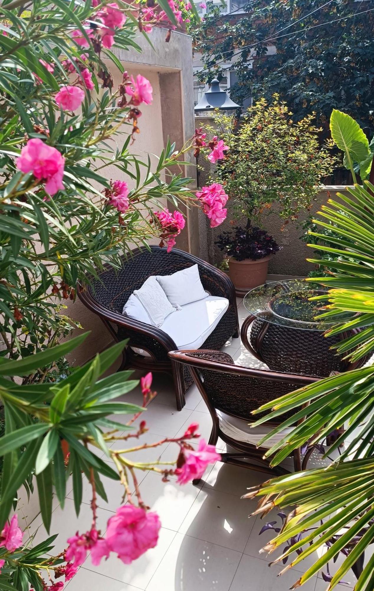 Villa Rosi Sozopol Extérieur photo